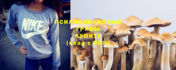 ешки Алзамай