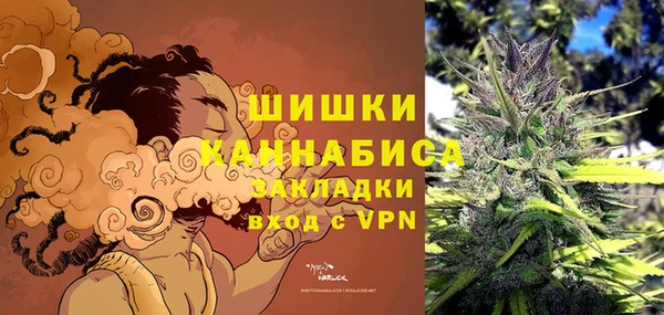 ешки Алзамай